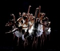 Illustration : Ballet Preljocaj CCN - Angelin Preljocaj